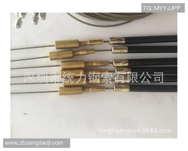 贴牌健身器材代工模式解析及优劣分析 贴牌健身器材代工模式解析及优劣分析