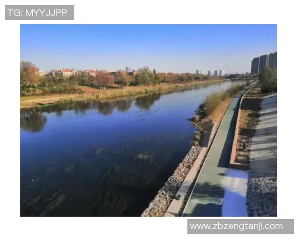 青衣运动场周边设施提升计划:打造市民健身新天地,推动社区健康发展 青衣运动场周边设施提升计划:打造市民健身新天地,推动社区健康发展