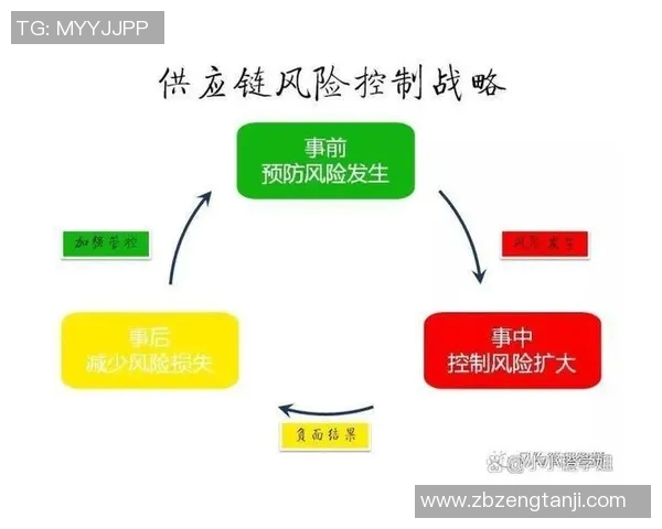 上海排球队的战术运营体系解析与实践探索